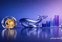 dogecoin price whale risk 015