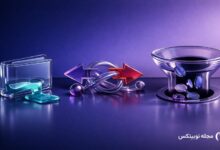 address poisoning scams drain millions as crypto attacks surge