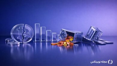 bitcoin crash crypto treasuries bankruptcy risk