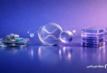 epstein files xrp coinbase neutrino controversy