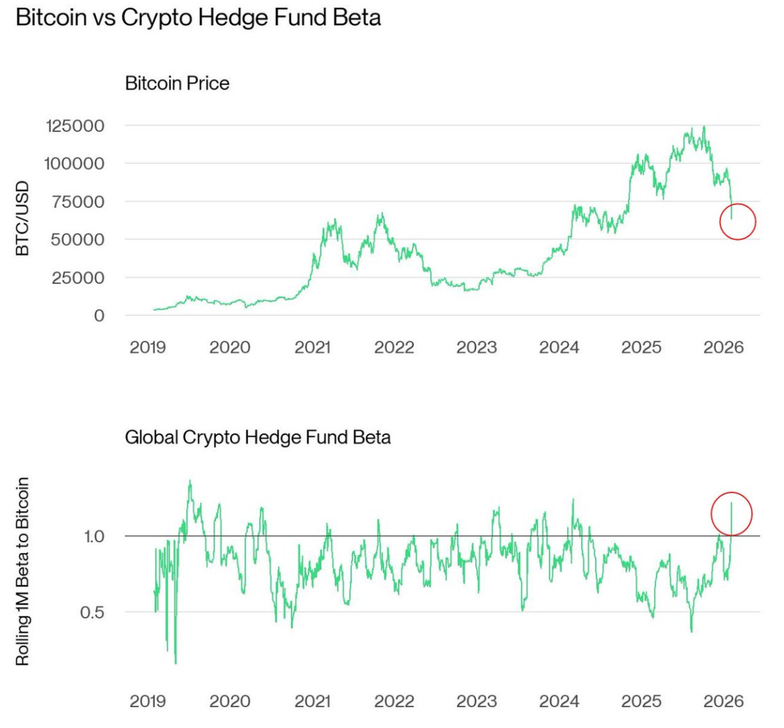 بتای صندوق پوشش ریسک کریپتویی جهانی