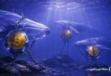 new bitcoin whales are trapped underwater but for how long