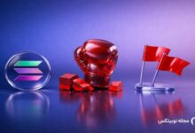 punch solana meme coin red flags