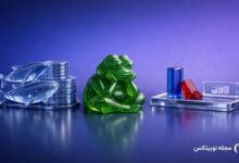 whales accumulate 23t pepe recovery