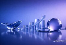 xrp whale purchase price recovery