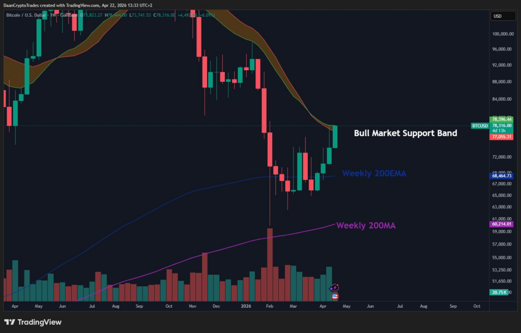 باند حمایتی بازار گاوی