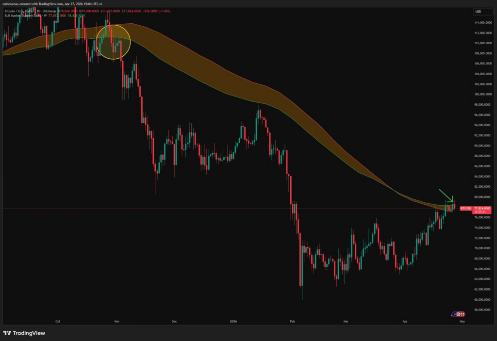 باند گاوی BTC
